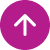 Scroll Top